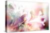 Beautiful Flowers Made with Color Filters-Timofeeva Maria-Stretched Canvas