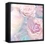 Beautiful Flowers Made with Color Filters-Timofeeva Maria-Framed Stretched Canvas