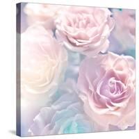 Beautiful Flowers Made with Color Filters-Timofeeva Maria-Stretched Canvas