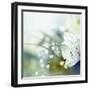 Beautiful Flowers Made with Color Filters-Timofeeva Maria-Framed Art Print