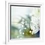 Beautiful Flowers Made with Color Filters-Timofeeva Maria-Framed Art Print