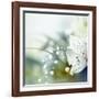 Beautiful Flowers Made with Color Filters-Timofeeva Maria-Framed Art Print