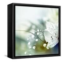 Beautiful Flowers Made with Color Filters-Timofeeva Maria-Framed Stretched Canvas