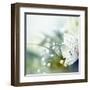 Beautiful Flowers Made with Color Filters-Timofeeva Maria-Framed Art Print