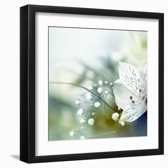 Beautiful Flowers Made with Color Filters-Timofeeva Maria-Framed Art Print