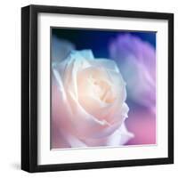 Beautiful Flowers Made with Color Filters-Timofeeva Maria-Framed Art Print