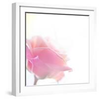 Beautiful Flowers Made with Color Filters-Timofeeva Maria-Framed Art Print