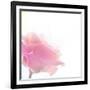 Beautiful Flowers Made with Color Filters-Timofeeva Maria-Framed Art Print