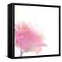 Beautiful Flowers Made with Color Filters-Timofeeva Maria-Framed Stretched Canvas