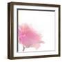 Beautiful Flowers Made with Color Filters-Timofeeva Maria-Framed Art Print