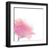 Beautiful Flowers Made with Color Filters-Timofeeva Maria-Framed Art Print