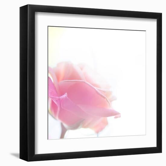 Beautiful Flowers Made with Color Filters-Timofeeva Maria-Framed Art Print