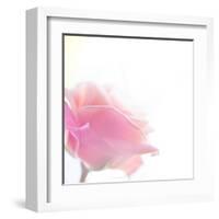 Beautiful Flowers Made with Color Filters-Timofeeva Maria-Framed Art Print