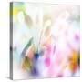 Beautiful Flowers Made with Color Filters-Timofeeva Maria-Stretched Canvas