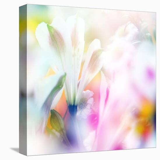 Beautiful Flowers Made with Color Filters-Timofeeva Maria-Stretched Canvas