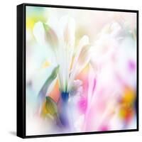 Beautiful Flowers Made with Color Filters-Timofeeva Maria-Framed Stretched Canvas