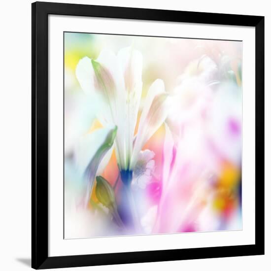 Beautiful Flowers Made with Color Filters-Timofeeva Maria-Framed Art Print