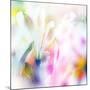 Beautiful Flowers Made with Color Filters-Timofeeva Maria-Mounted Art Print