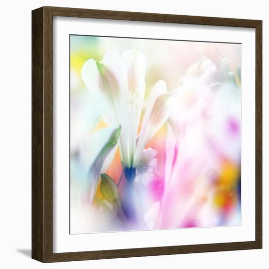 Beautiful Flowers Made with Color Filters-Timofeeva Maria-Framed Art Print