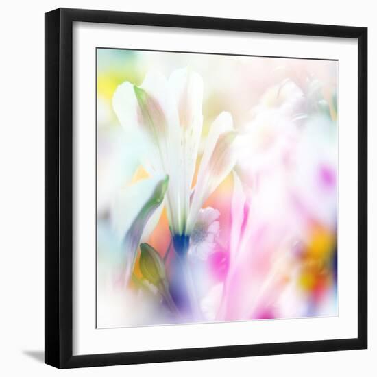 Beautiful Flowers Made with Color Filters-Timofeeva Maria-Framed Art Print