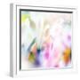 Beautiful Flowers Made with Color Filters-Timofeeva Maria-Framed Art Print