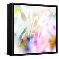 Beautiful Flowers Made with Color Filters-Timofeeva Maria-Framed Stretched Canvas