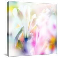 Beautiful Flowers Made with Color Filters-Timofeeva Maria-Stretched Canvas