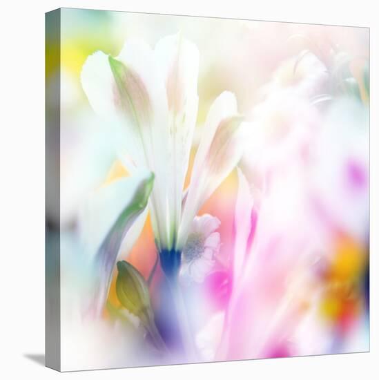 Beautiful Flowers Made with Color Filters-Timofeeva Maria-Stretched Canvas