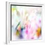 Beautiful Flowers Made with Color Filters-Timofeeva Maria-Framed Premium Giclee Print