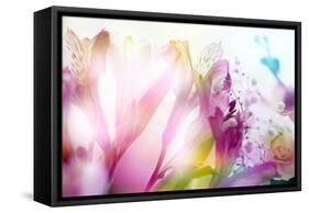 Beautiful Flowers Made with Color Filters-Timofeeva Maria-Framed Stretched Canvas