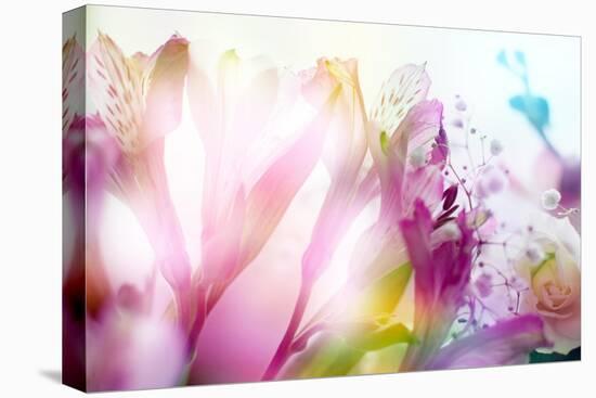 Beautiful Flowers Made with Color Filters-Timofeeva Maria-Stretched Canvas