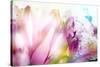 Beautiful Flowers Made with Color Filters-Timofeeva Maria-Stretched Canvas