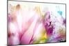 Beautiful Flowers Made with Color Filters-Timofeeva Maria-Mounted Premium Giclee Print