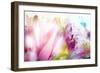 Beautiful Flowers Made with Color Filters-Timofeeva Maria-Framed Art Print