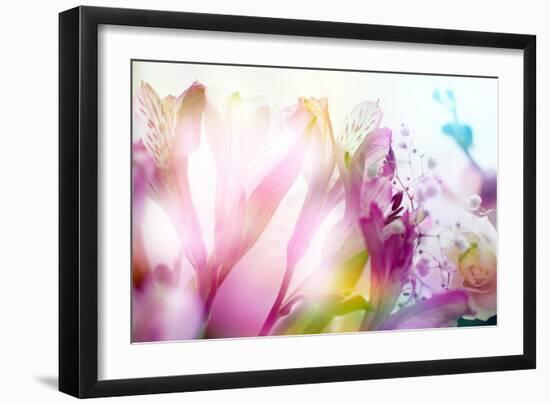 Beautiful Flowers Made with Color Filters-Timofeeva Maria-Framed Art Print