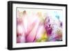 Beautiful Flowers Made with Color Filters-Timofeeva Maria-Framed Art Print