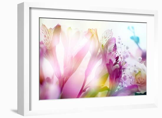 Beautiful Flowers Made with Color Filters-Timofeeva Maria-Framed Art Print