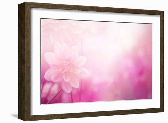 Beautiful Flowers Made with Color Filters-Timofeeva Maria-Framed Art Print