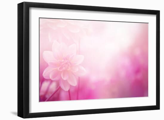 Beautiful Flowers Made with Color Filters-Timofeeva Maria-Framed Art Print