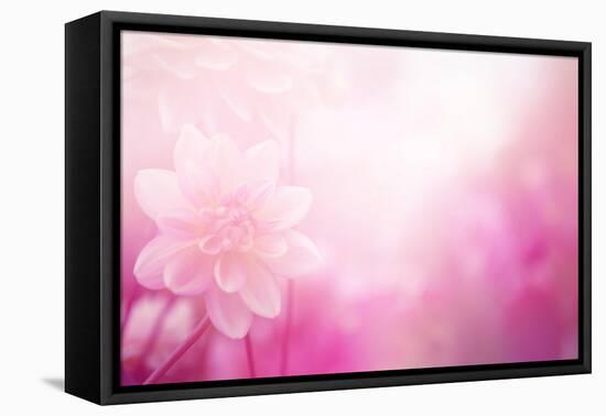 Beautiful Flowers Made with Color Filters-Timofeeva Maria-Framed Stretched Canvas