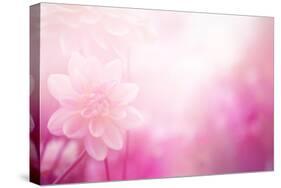 Beautiful Flowers Made with Color Filters-Timofeeva Maria-Stretched Canvas