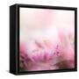 Beautiful Flowers Made with Color Filters-Timofeeva Maria-Framed Stretched Canvas