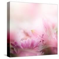 Beautiful Flowers Made with Color Filters-Timofeeva Maria-Stretched Canvas