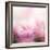 Beautiful Flowers Made with Color Filters-Timofeeva Maria-Framed Art Print