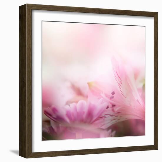 Beautiful Flowers Made with Color Filters-Timofeeva Maria-Framed Art Print