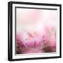 Beautiful Flowers Made with Color Filters-Timofeeva Maria-Framed Art Print