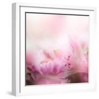 Beautiful Flowers Made with Color Filters-Timofeeva Maria-Framed Art Print