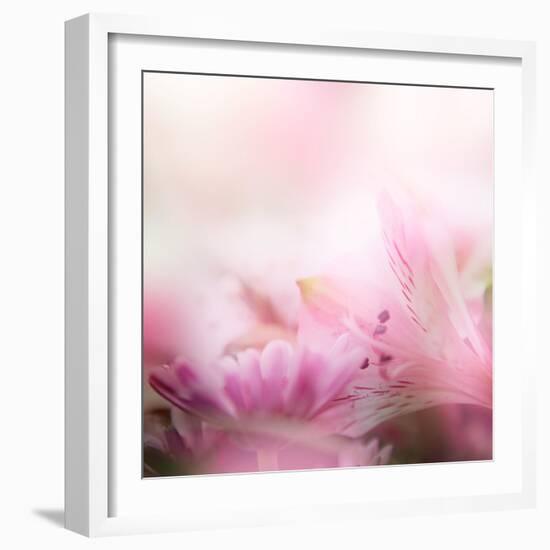 Beautiful Flowers Made with Color Filters-Timofeeva Maria-Framed Art Print