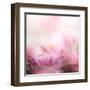 Beautiful Flowers Made with Color Filters-Timofeeva Maria-Framed Art Print