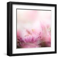 Beautiful Flowers Made with Color Filters-Timofeeva Maria-Framed Art Print